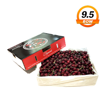 美國西北櫻桃(9.5ROW)5公斤1箱